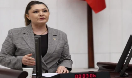 ULAŞ GÖLETİ’NDEKİ BALIK ÖLÜMLERİ MECLİS GÜNDEMİNDE