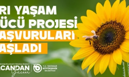 ARICILARA YEM DESTEĞİ BAŞLADI