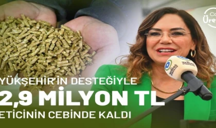 Büyükşehir’den küçükbaş hayvancılığa 22,9 milyon TL’lik destek