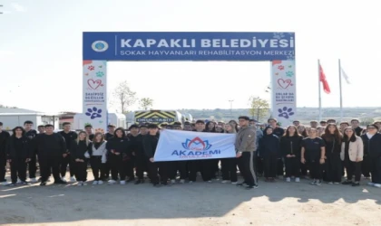 Öğrencilerden sokak hayvanlarına mama desteği