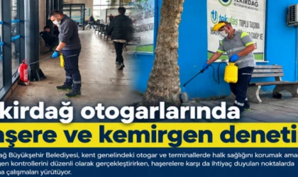 Tekirdağ otogarlarında haşere ve kemirgen denetimi